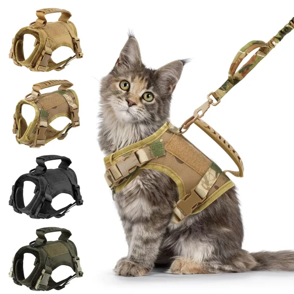 Cat/small dog Harness And Leash
